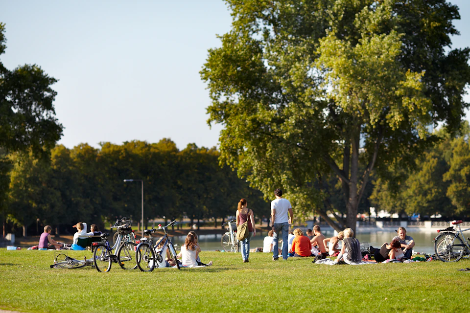 People relax on a grassy park area near a body of water, with bicycles and large trees in the background on a sunny day.