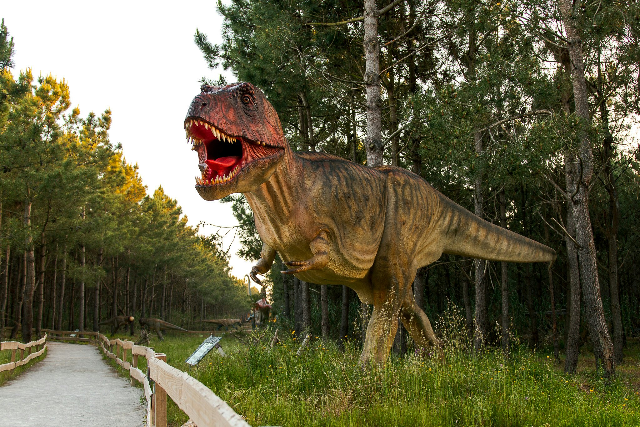 Dino Parque Lourinhã: bilhete de entrada