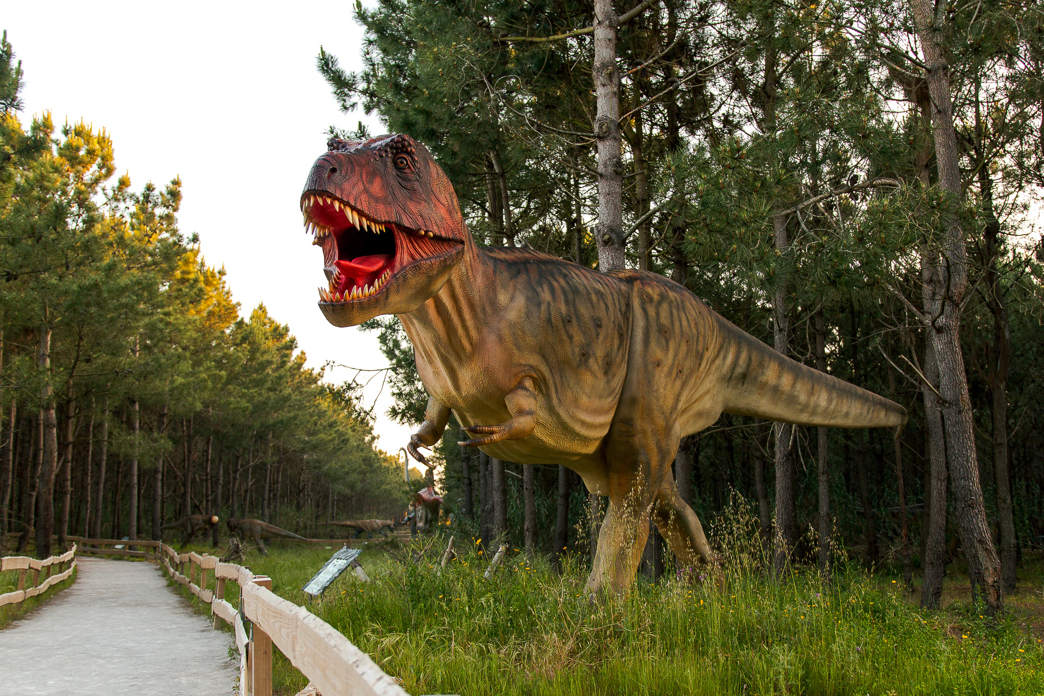 Dino Parque Lourinhã: Entry Ticket