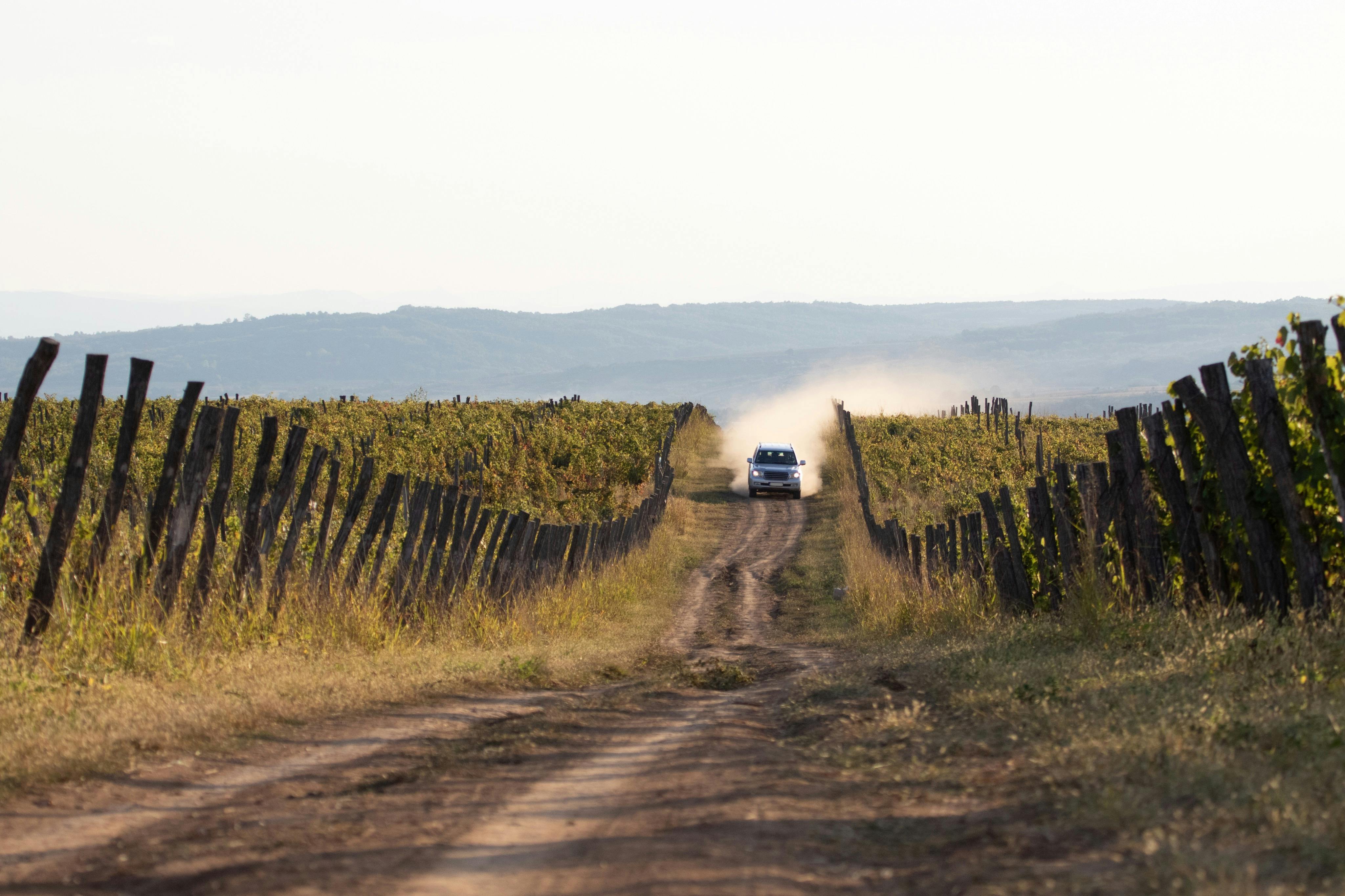 #6 cosas que hacer en <City 66254>: Rutas del Vino desde Madrid