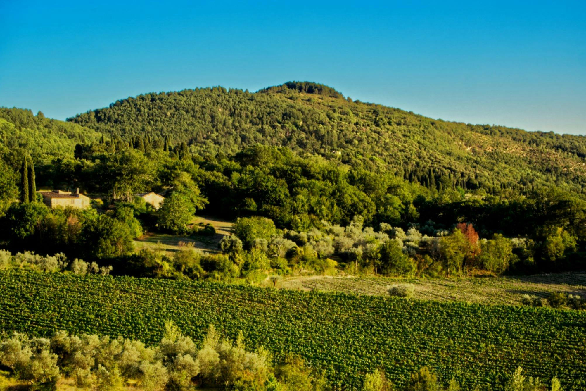Fiesole Hills