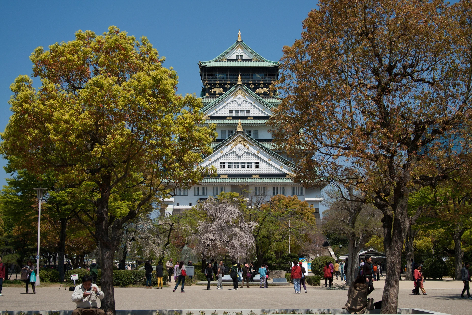 People walking in a park with blooming trees, gathered around a large, traditional Japanese castle under a clear blue sky.