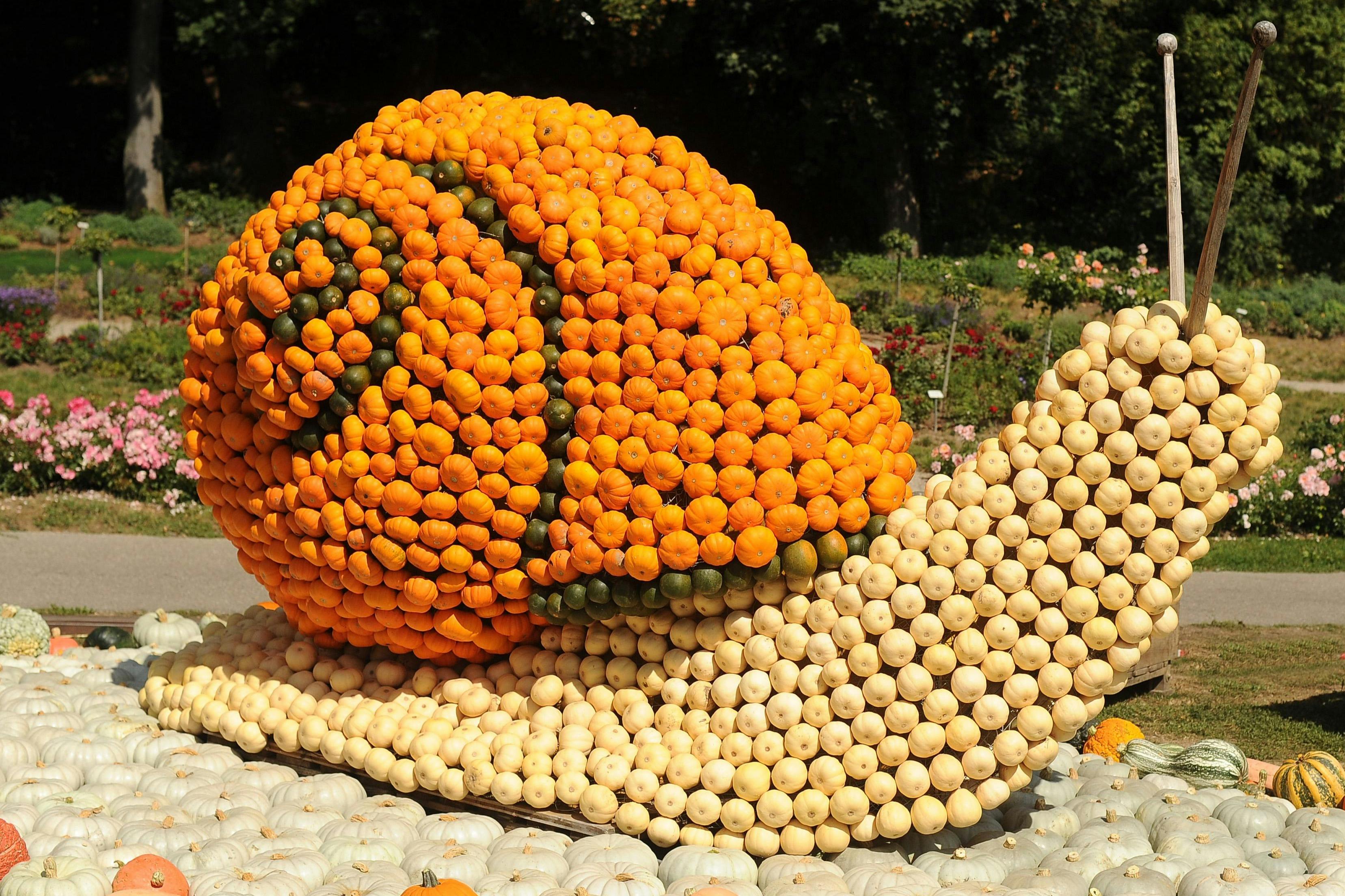 Castillo de Groot-Bijgaarden: Pumpkimania 2025