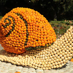 Groot-Bijgaarden Castle: Pumpkimania 2026 3