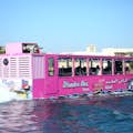 O Wonder Bus Dubai é uma aventura anfíbia no mar e na terra para você conhecer os pontos turísticos de Dubai de uma maneira maravilhosa.