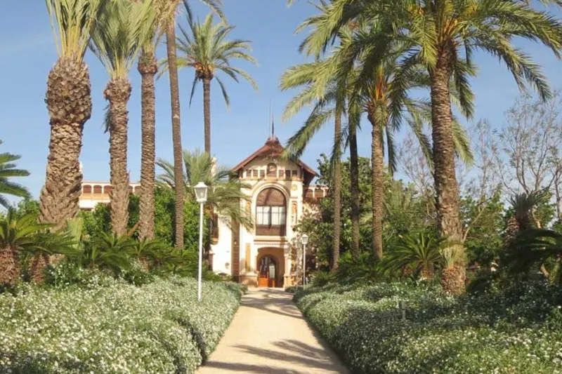 Gastronomic Experiences in Valencia
