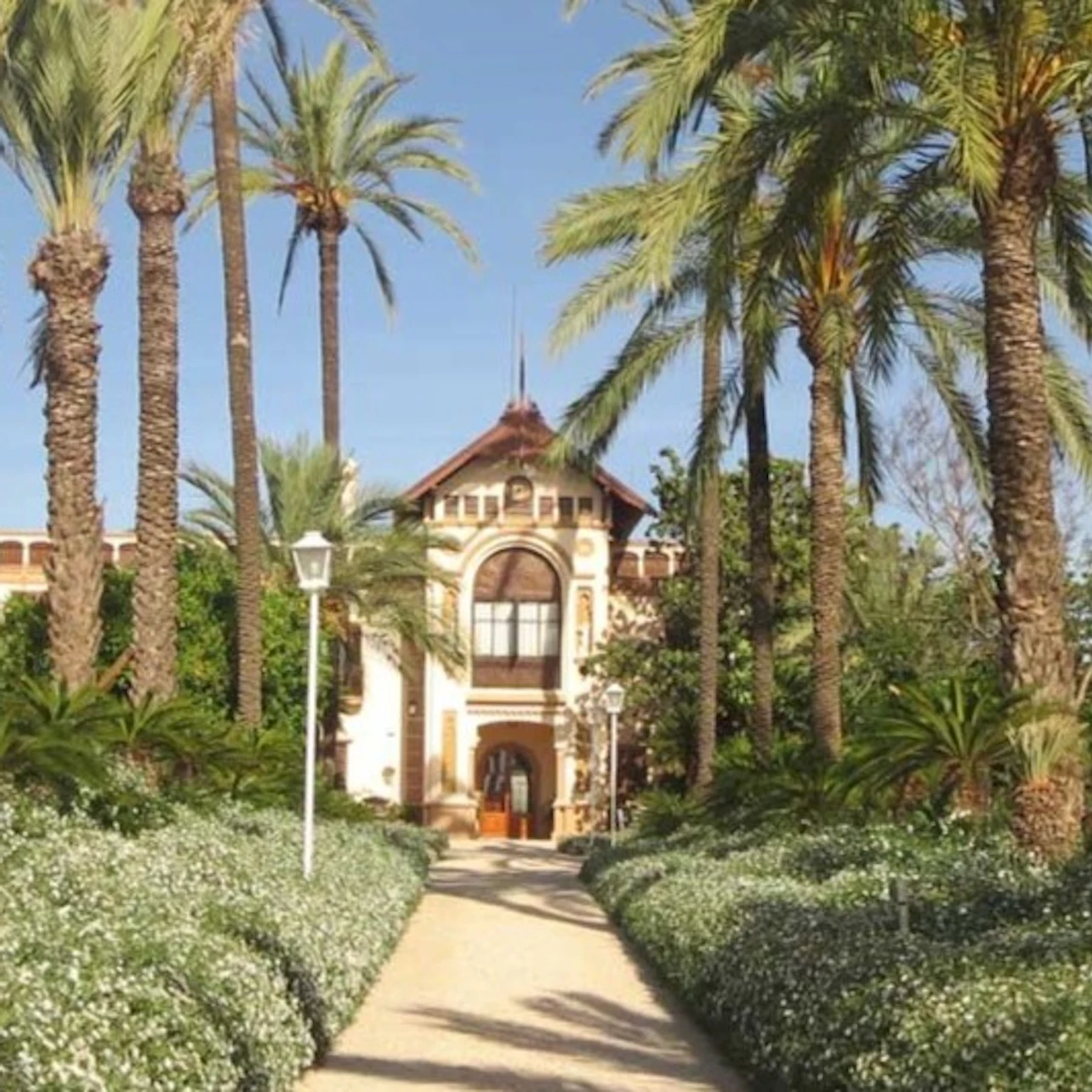 Huerto Ribera: Guided Orange Orchard Tour from Valencia + Food Tasting