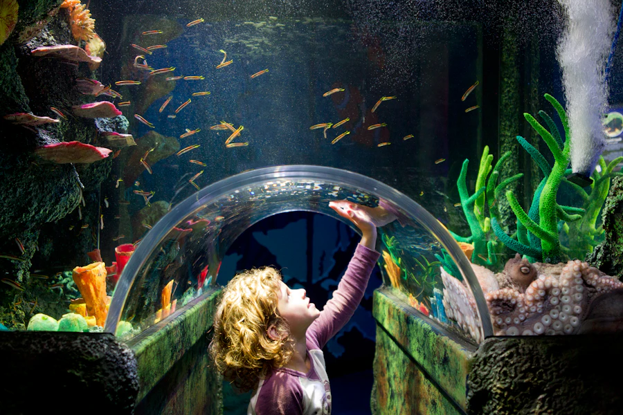 Sydney Sea Life Aquarium Tickets