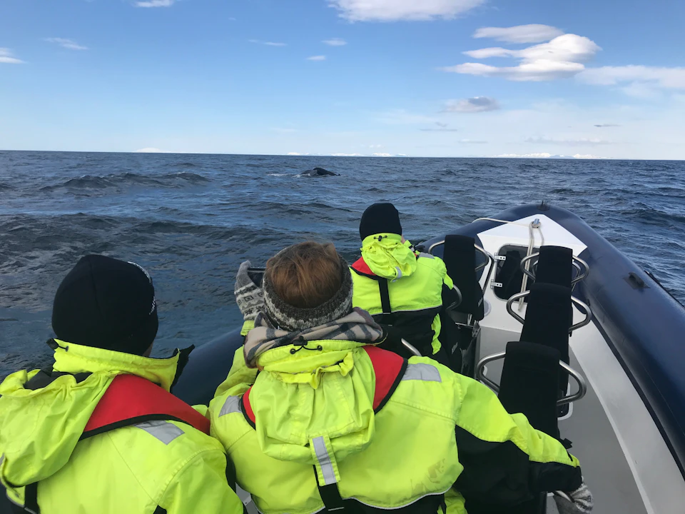 People in neon jackets on a boat watching a whale in the ocean under a partly cloudy sky.