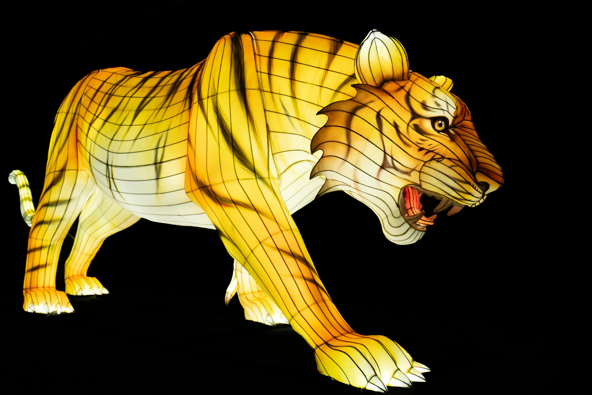 A brightly lit tiger-shaped lantern with glowing yellow and orange tones on a black background.