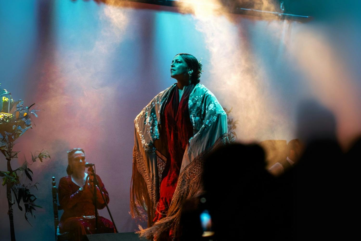 Barcelona City Hall Theater: Flamenco Show - Photo 7