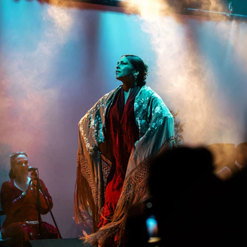 Barcelona City Hall Theater: Flamenco Show - Photo 7