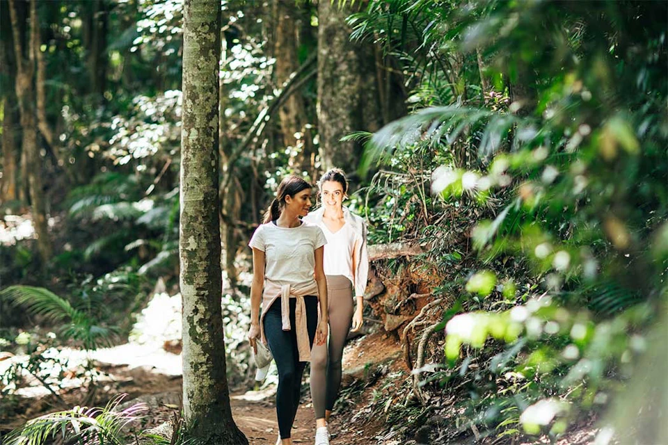 Girls walking in the rainforest