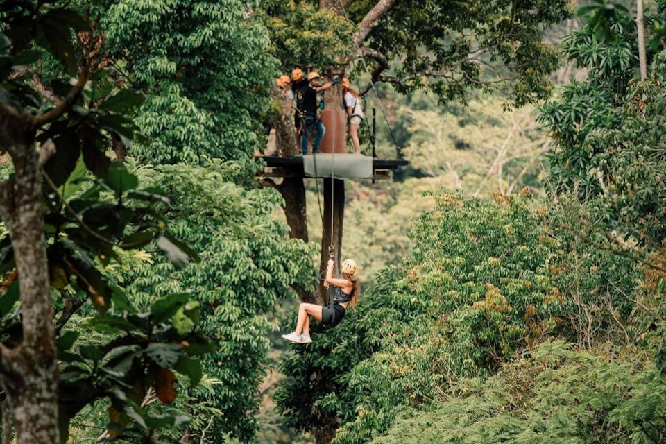 Zipline