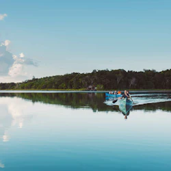 Cobá Ruins, Punta Laguna & Cenote: Guided Tour, Transfer from Tulum + Lunch 5