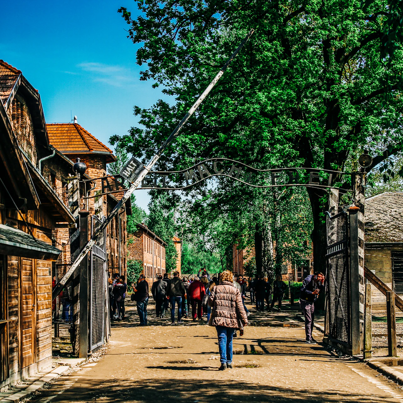 Auschwitz-Birkenau: Guided Tour + Transfers in Krakow β Tiqets