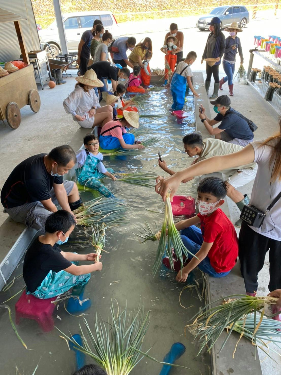 People, including children and adults, are sitting around a shallow water channel, cleaning plants or leaves together.