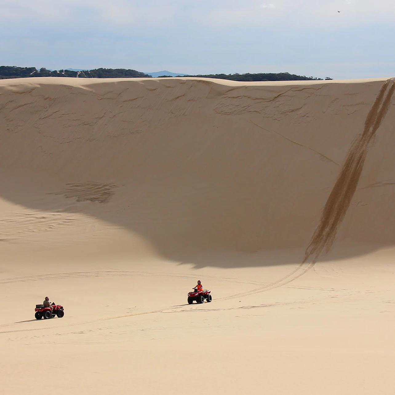 Worimi Sand Dunes Quad Bike Tour in Williamtown β Tiqets