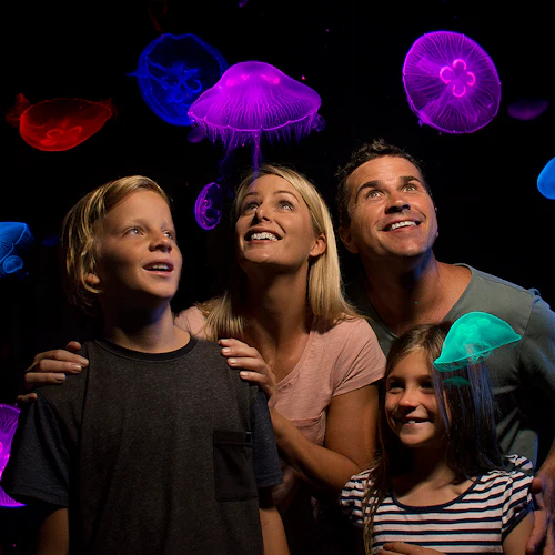 SEA LIFE Sunshine Coast: bilhete de entrada - Photo 4