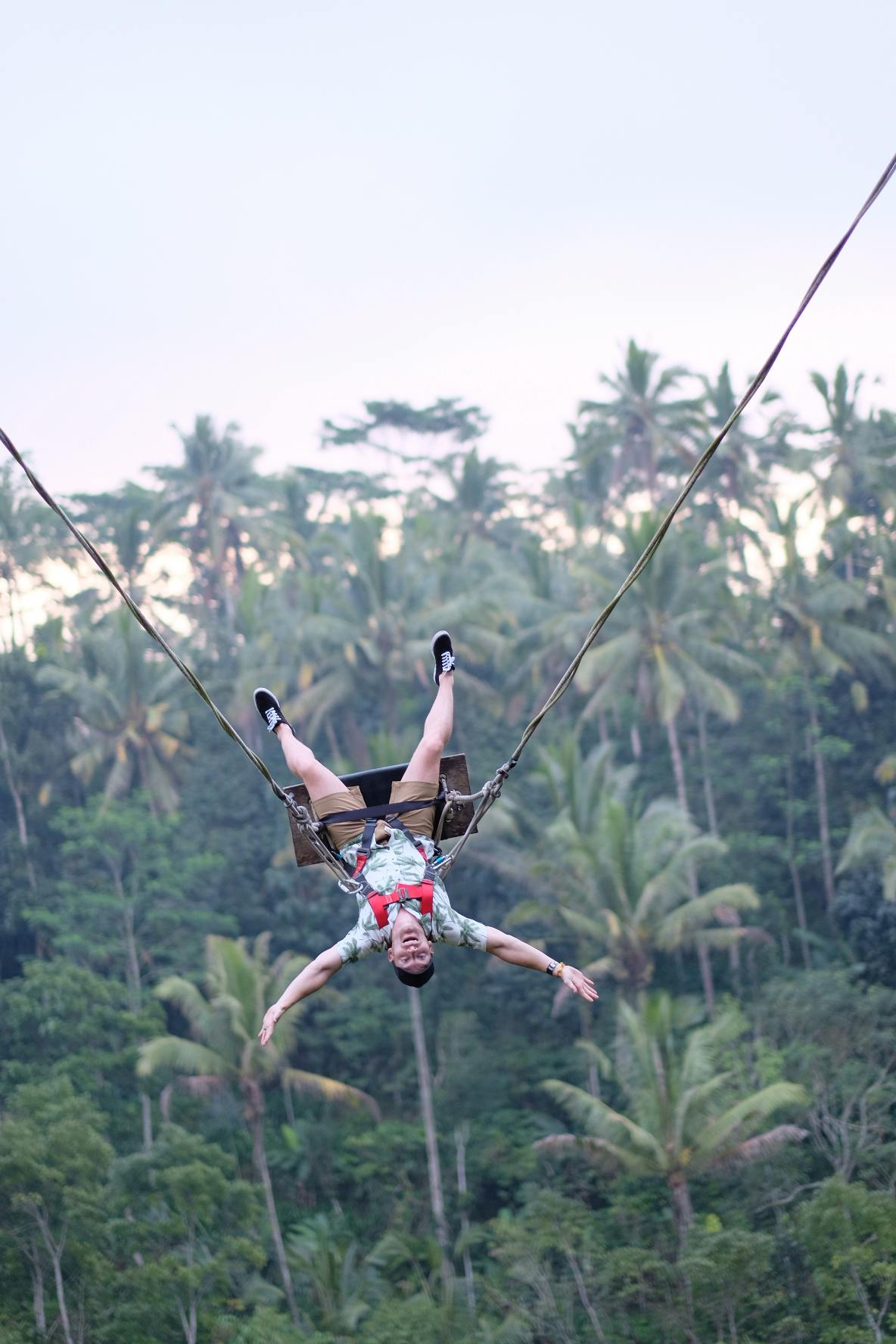 一个人被绳子倒吊在郁郁葱葱的热带森林上，背景是高大的棕榈树。
