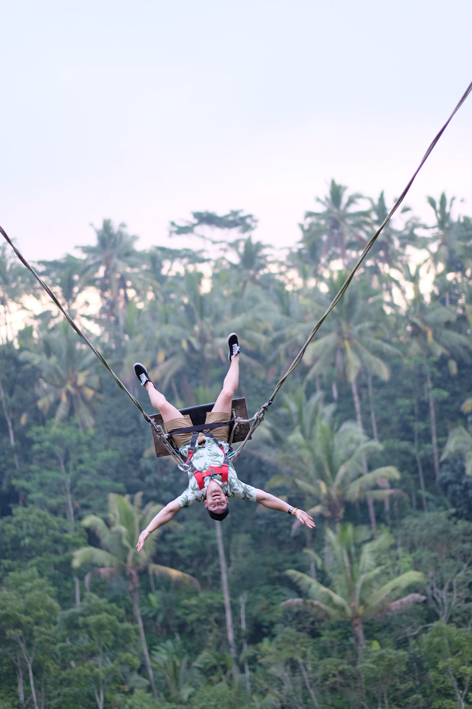A person suspended upside down by ropes over a lush tropical forest, with a backdrop of tall palm trees.