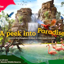 Bird Paradise Singapore