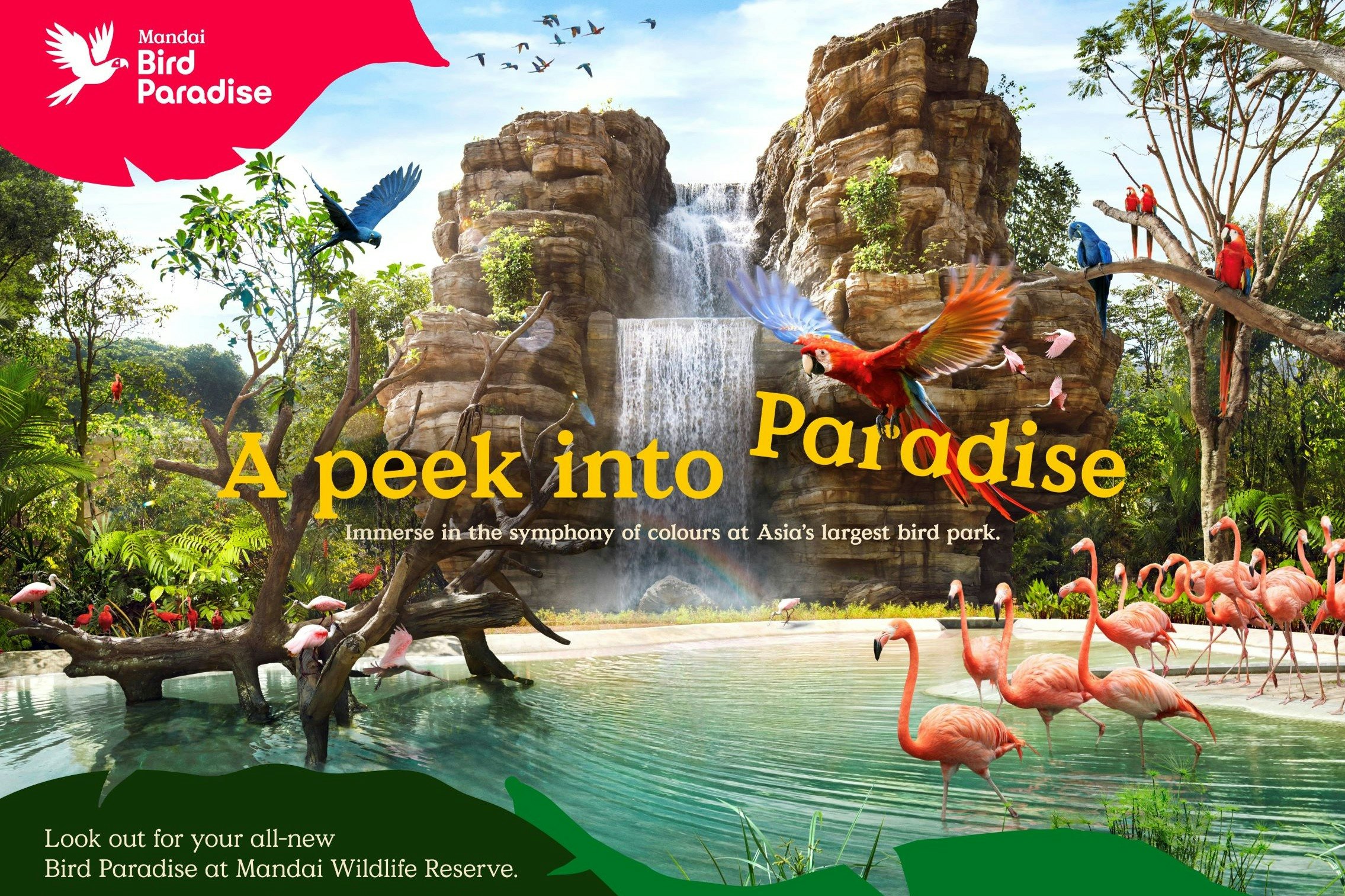 Bird Paradise Singapore | Tiqets