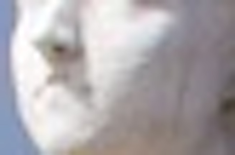 London Kensington Palats Biljetter