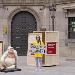 En person i en gul regnrock som håller en "Skolstrejk för Klimatet" -skylt står bredvid en vit apfigur och trälådor utanför ett vaxmuseum.