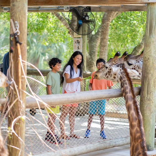 Brevard Zoo: Entry Ticket - Photo 4