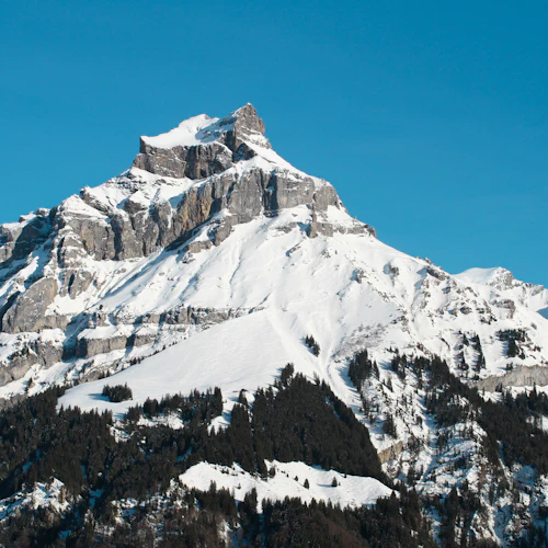 Snötäckt bergstopp under en klarblå himmel med ett skogsområde vid basen.