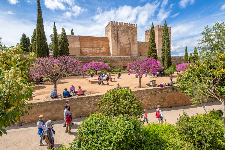 People walk and sit in a courtyard with purple flowering trees and a historic stone building with towers in the background.