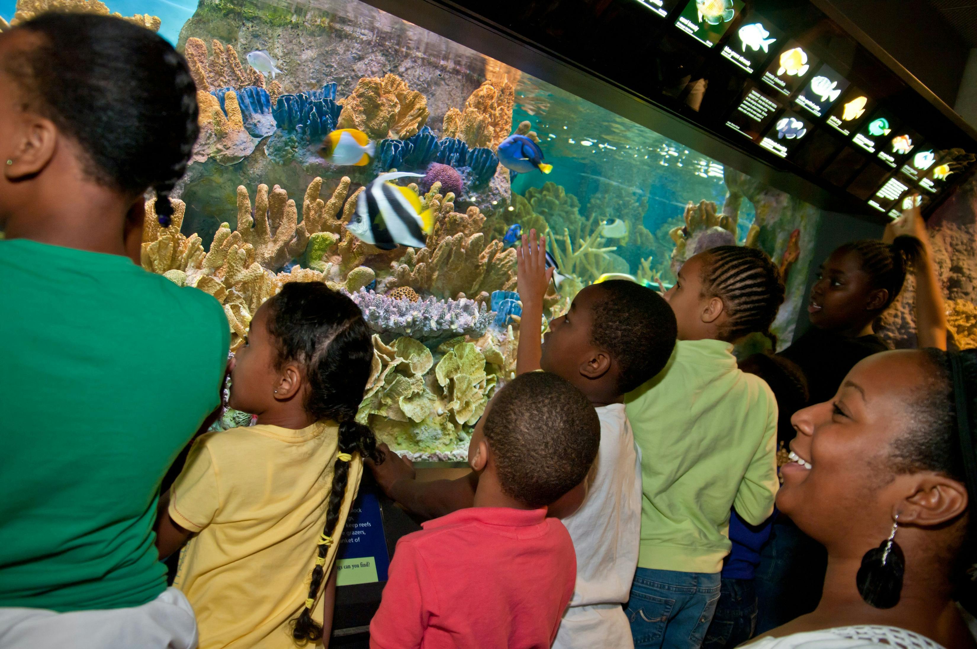 New England Aquarium Tickets Tiqets