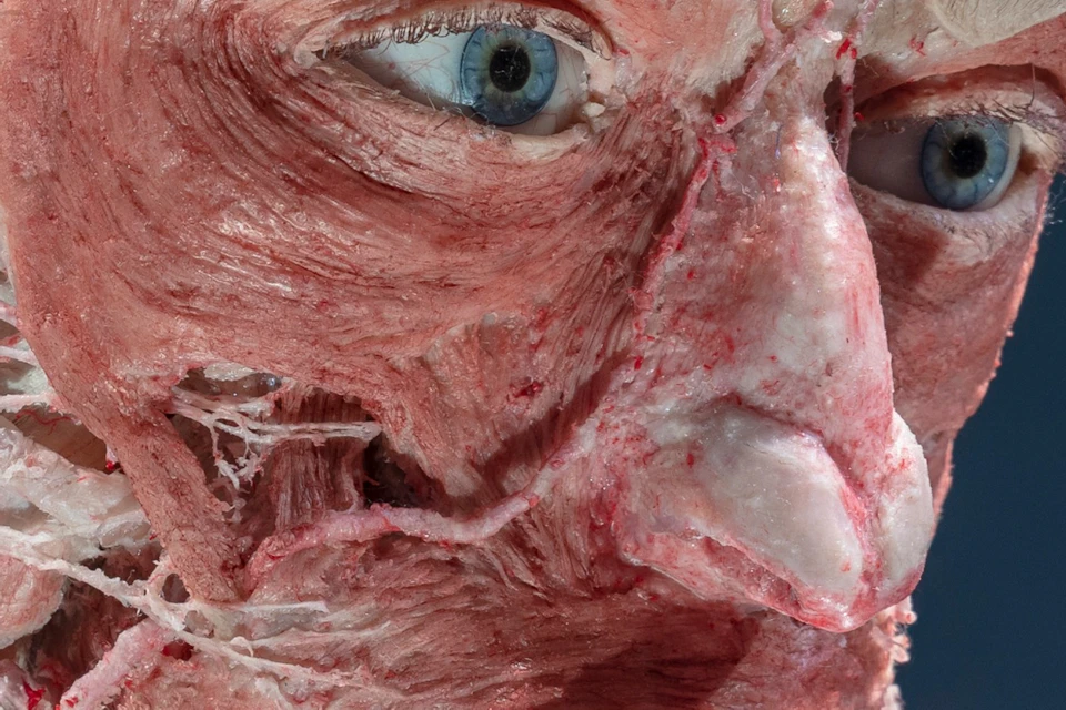 BODY WORLDS Berlin