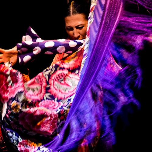 Museo del Flamenco di Siviglia- Solo lo Spettacolo Museo del Flamenco di Siviglia- Solo lo Spettacolo