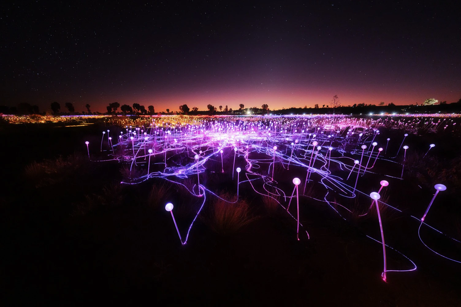 Field of Light Uluru: Star Pass