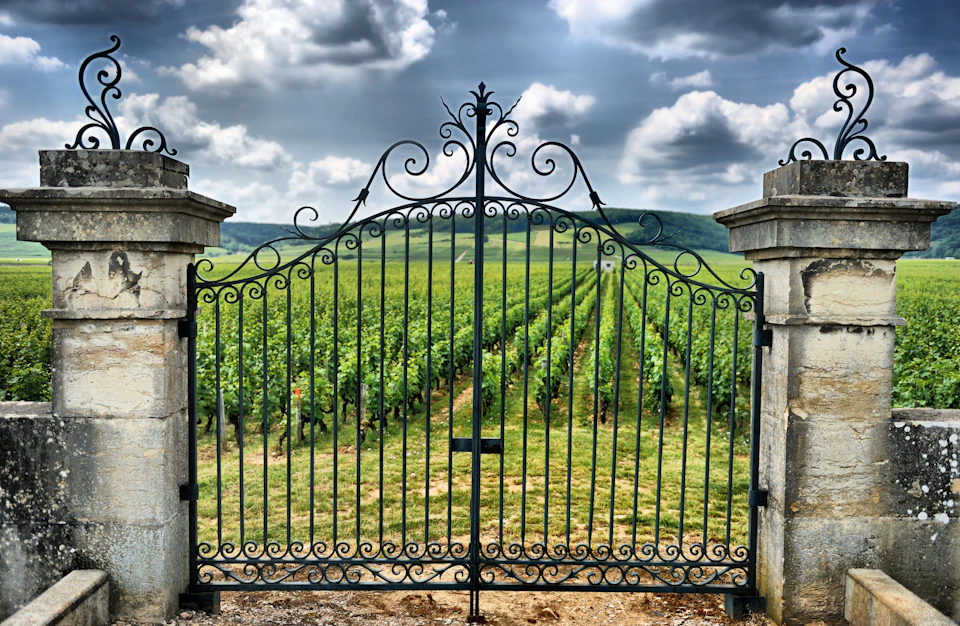 An ornate iron gate leading into a vineyard beneath a cloudy sky. Rows of grapevines stretch into the distance.