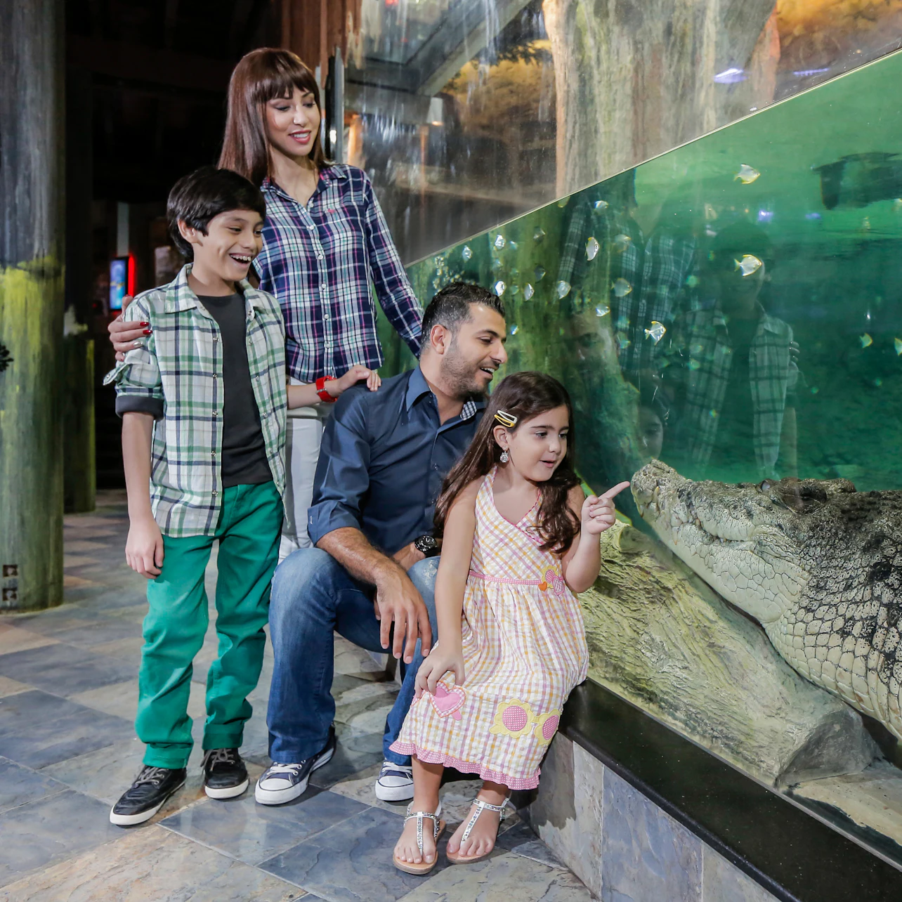 Dubai Aquarium & Burj Khalifa: Level 124/125 Ticket in Dubai – Tiqets