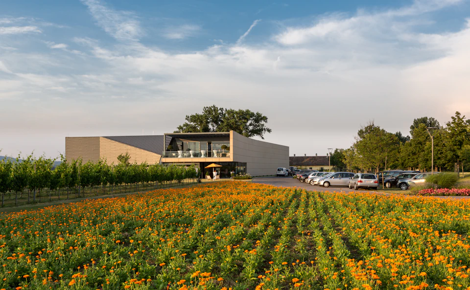 Modern building next to a parking lot and vibrant flower field under a partly cloudy sky.