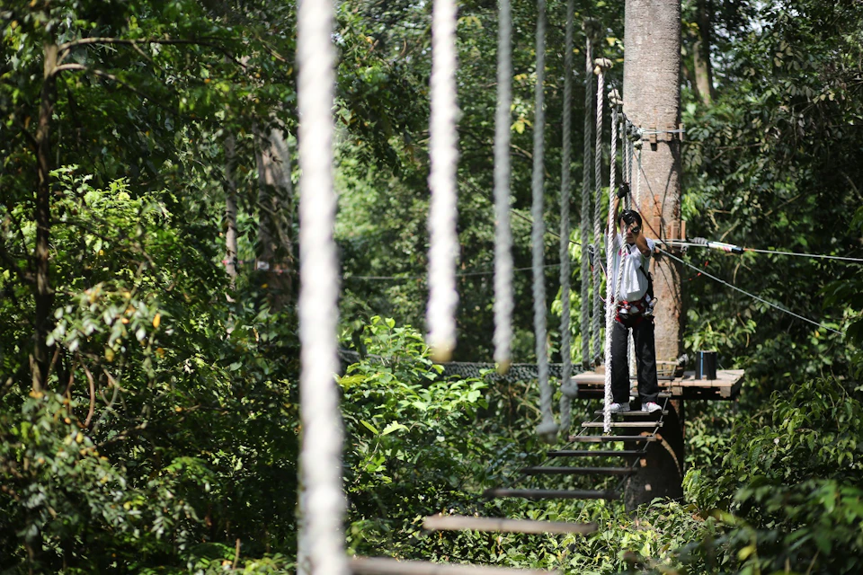 Person navigating a rope bridge across a forest canopy, holding onto ropes for balance, surrounded by lush greenery.