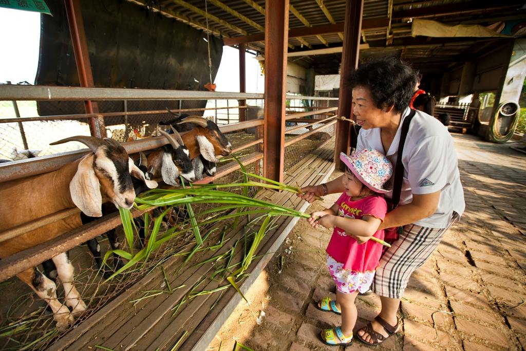 Keda Goat Farm Yilan: Ranch Admission + Grass Feeding + Drink