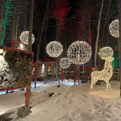 Woodooliparc: Frima - The Magic of Christmas 4