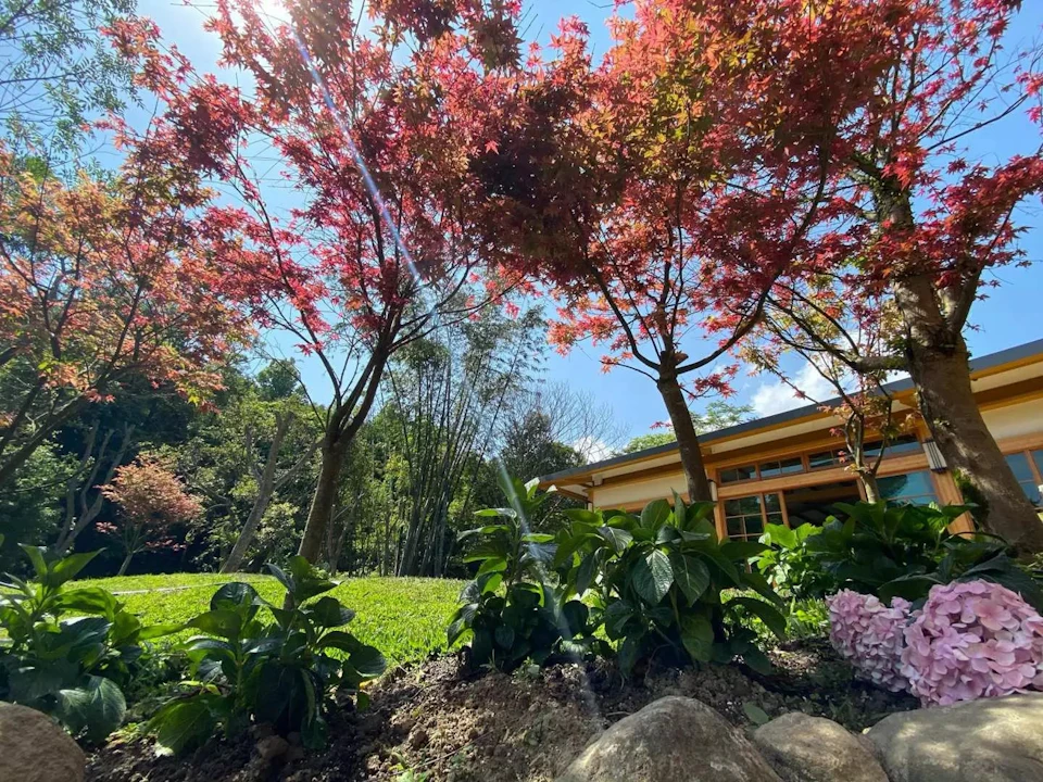 A garden scene with red-leaved trees, green plants, and a yellow building under a blue sky with scattered clouds.