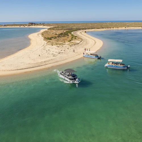 Passeio de barco às ilhas Deserta e Farol na Ria Formosa - Photo 2