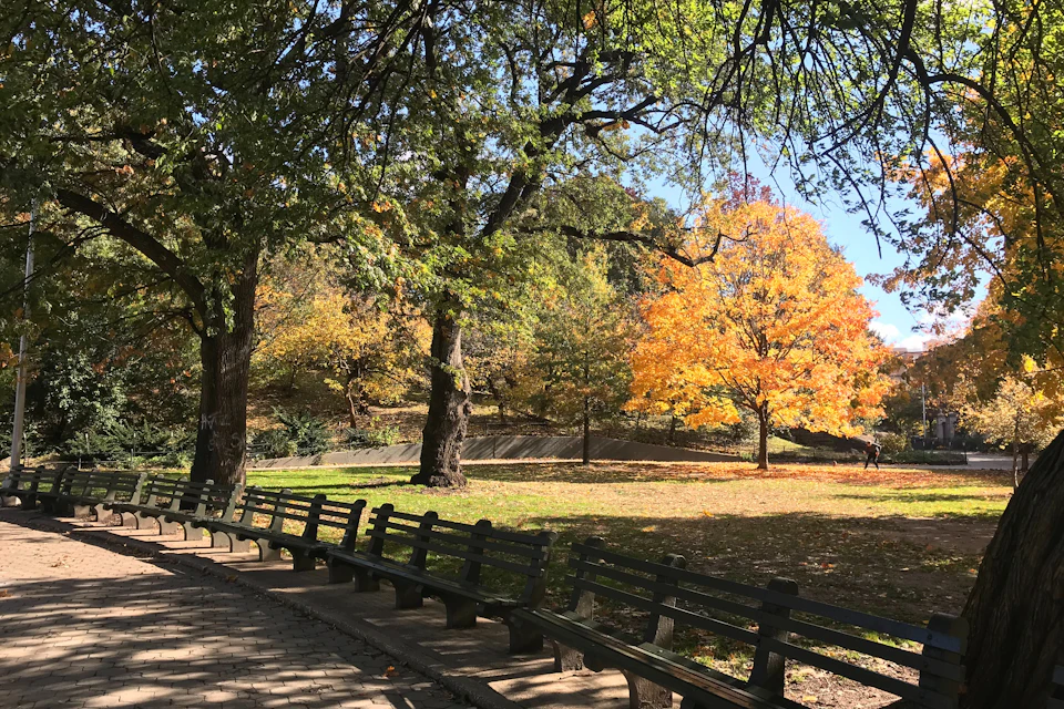 Marcus Garvey Park