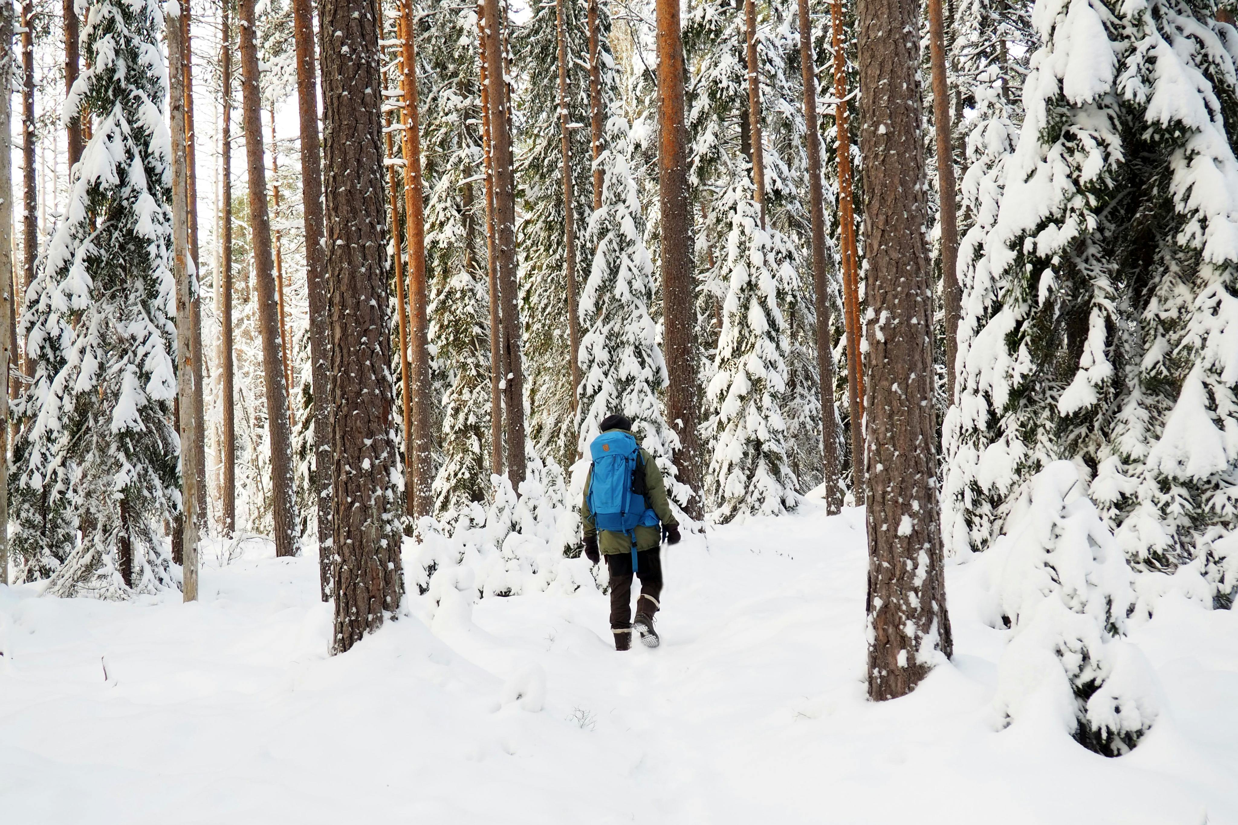 Explore a truly magical winter wonderland