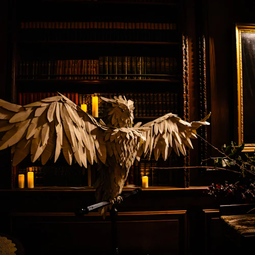 Anoitecer em Filoli - Photo 4