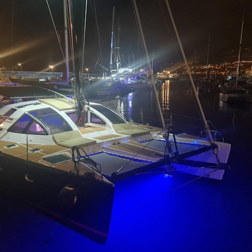 Tenerife: 3-Hour Whale & Dolphin Watching Catamaran Tour with Catering Tenerife: 3-Hour Whale & Dolphin Watching Catamaran Tour with Catering
