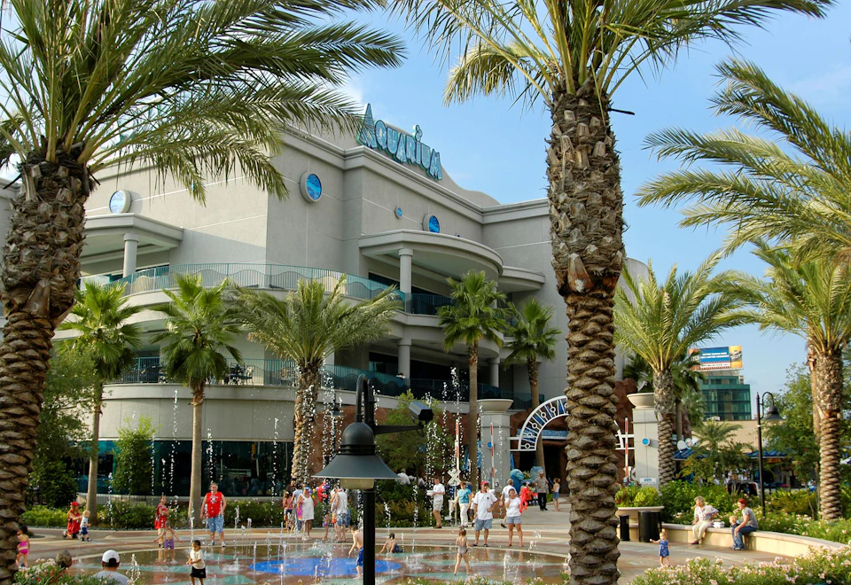 People walk near a large building with a sign reading "Aquarium" and water fountains in front, surrounded by palm trees.