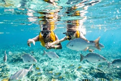 Diving & Snorkeling | Cancún Boat Tours things to do in Punta Cancun